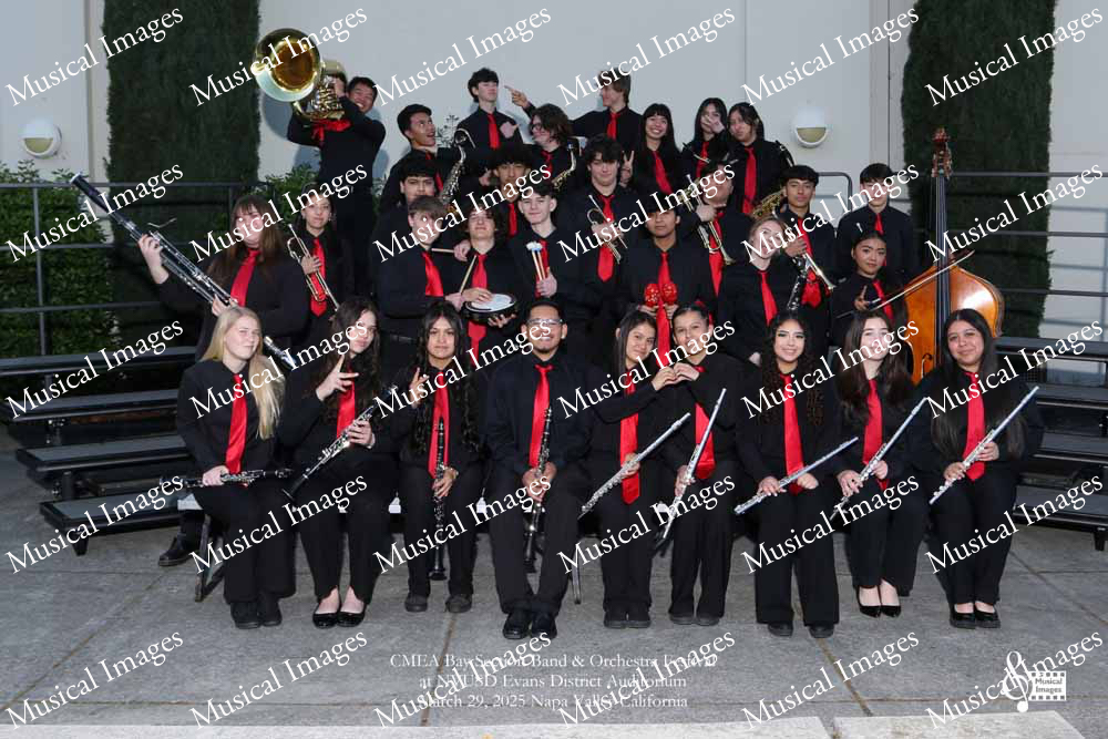 Musical Images